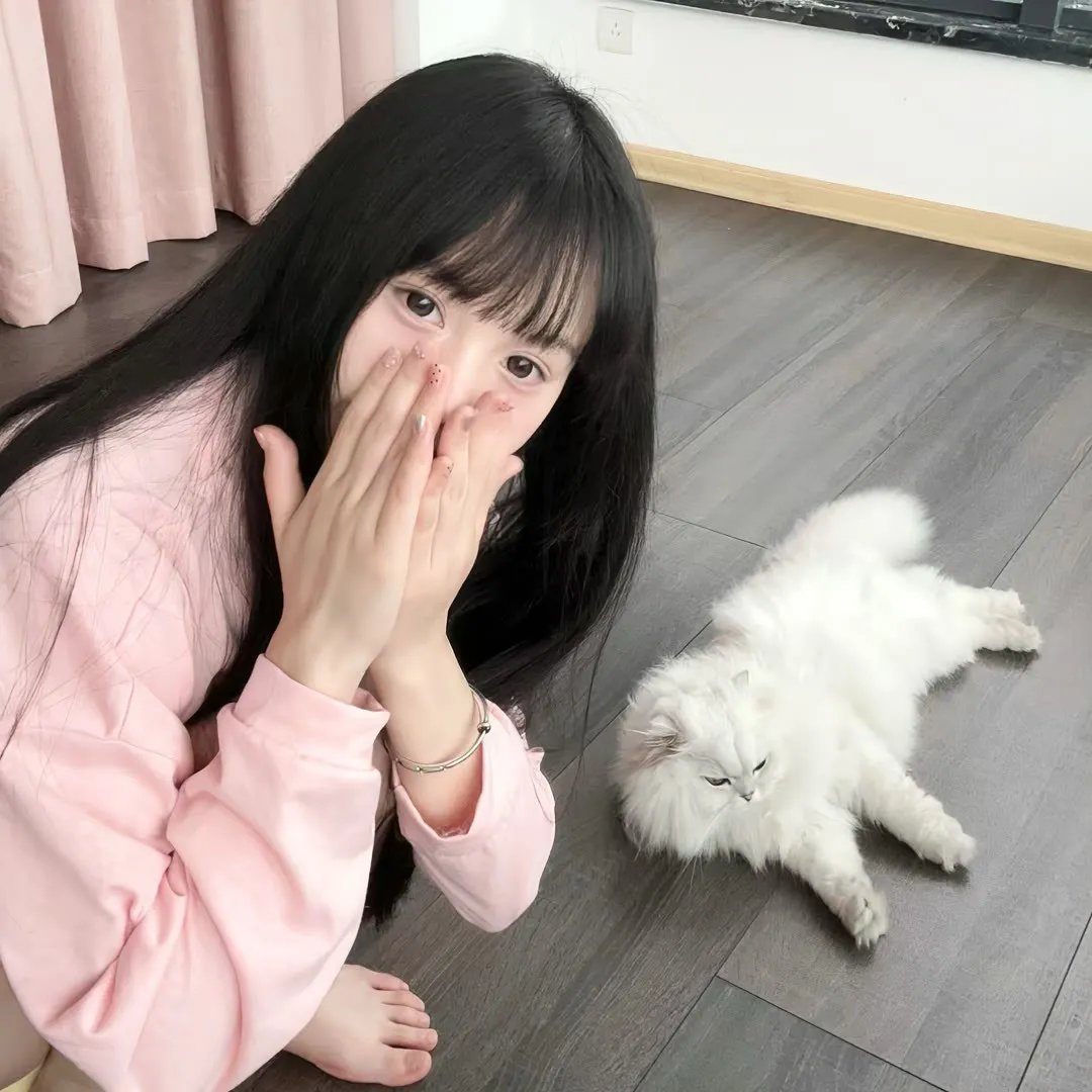 贪婪2019